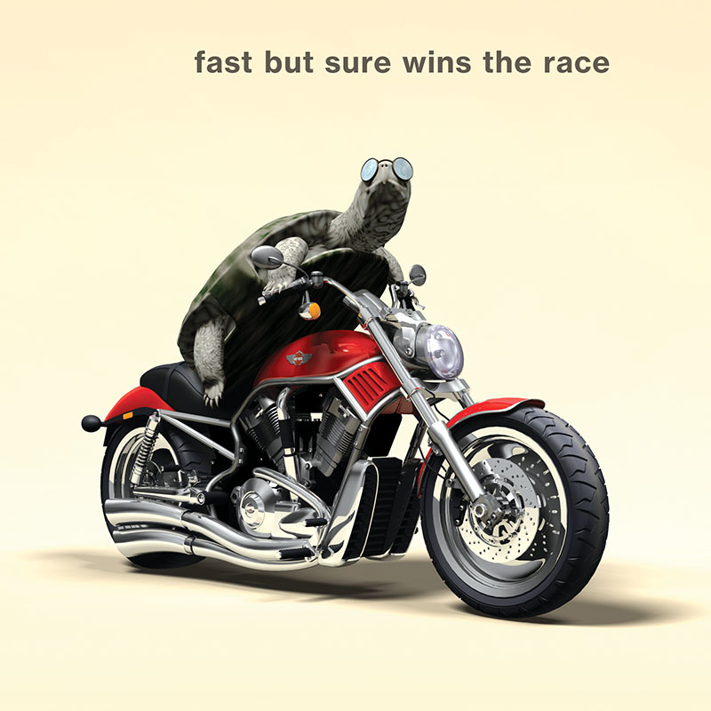 tortoise-on-a-motorcycle-800x800px-v2 Investment firm ad campaign